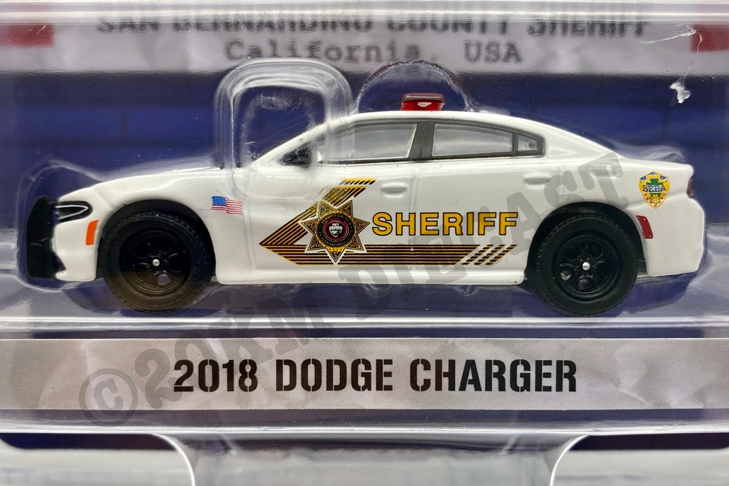 Greenlight 1/64 Exclusive (SEBA) - 2018 Dodge Charger - San Bernardino –  20KM Diecast